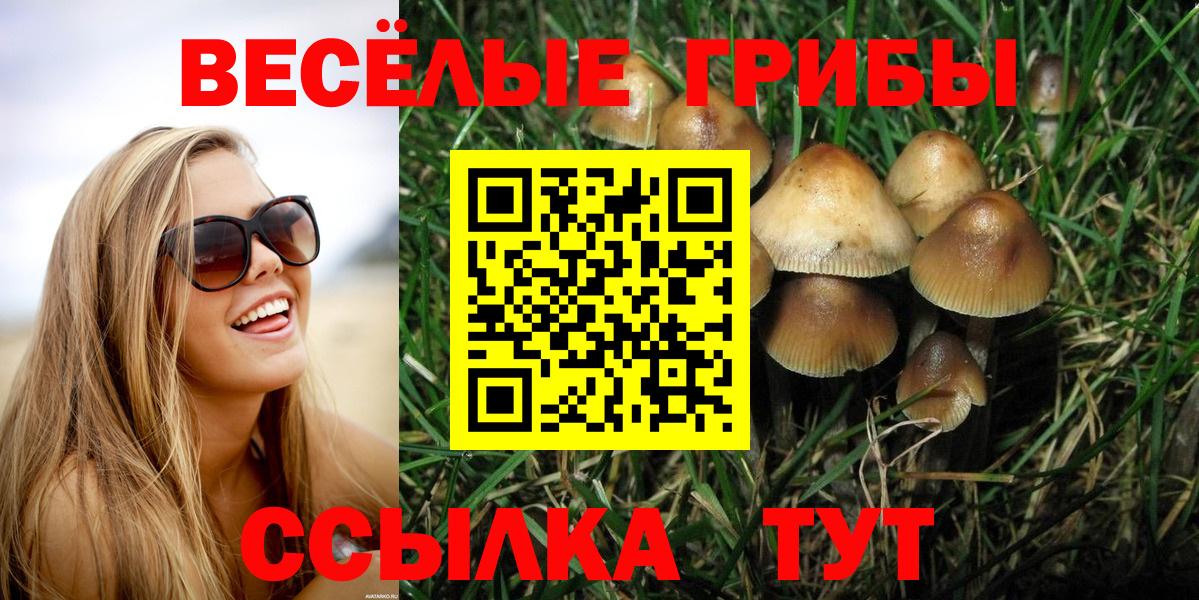 Псилоцибиновые грибы мухоморы Заречный