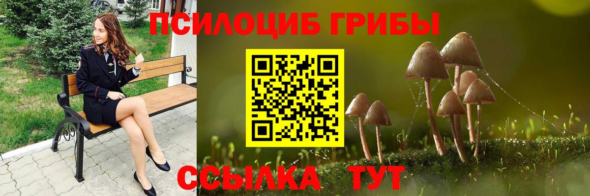 Альфа ПВП Заречный