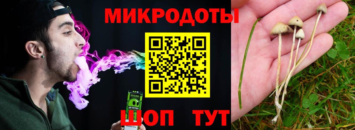 Псилоцибиновые грибы мухоморы  Псилоцибиновые грибы Psilocybine cubensis  Вход с VPN  Заречный 